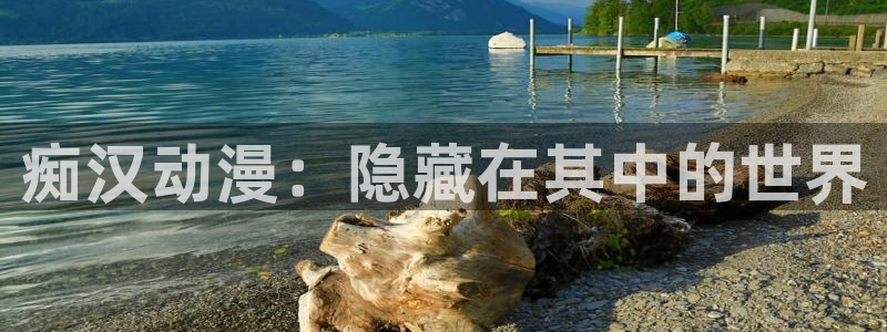 新风车动漫：痴汉动漫：隐藏在其中的世界